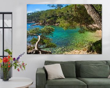 Calanque du Port d'Alon aan de Côte d'Azur van Tanja Voigt