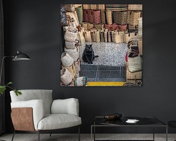 Black cat in a hall full of bags and baskets by Harrie Muis