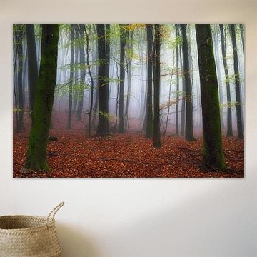 De mist komt steeds dichterbij.