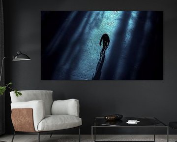Cyclist on cobblestones at night by Frank Heinz