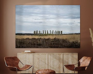 Natuurgebied de Regte Heide van Jeroen van Eijndhoven