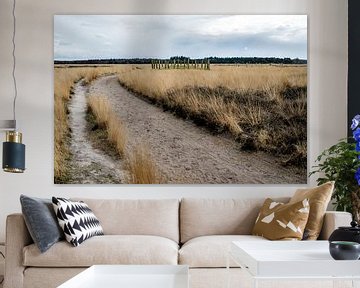 Natuurgebied de Regte Heide van Jeroen van Eijndhoven