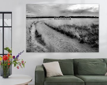 Natuurgebied de Regte Heide van Jeroen van Eijndhoven