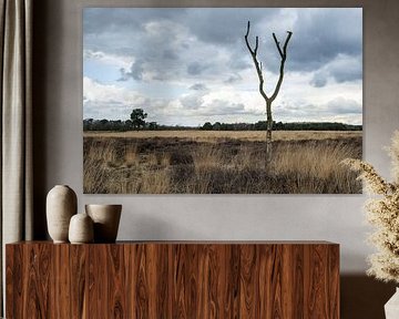 Regte Heide nature reserve by Jeroen van Eijndhoven