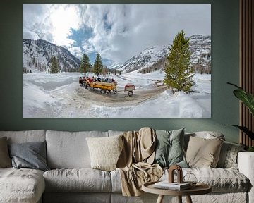 Val Roseg,  Koets met twee paarden, Pontresina, Oberengadin, Zwitserland van Rene van der Meer