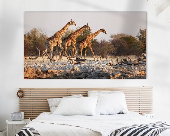 Aperçu de la chambre