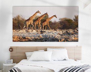 Giraffen bij waterput in Afrika van Jeffrey Groeneweg