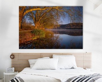 Baldeneysee, Essen, North Rhine-Westphalia, Germany by Alexander Ludwig