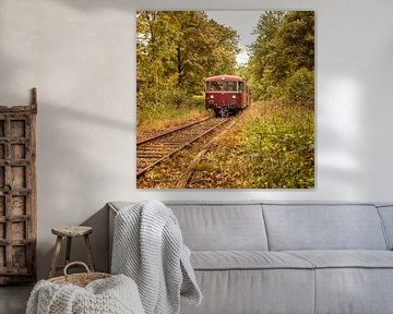 Railbus ZLSM tussen prachtige herfstkleuren sur John Kreukniet