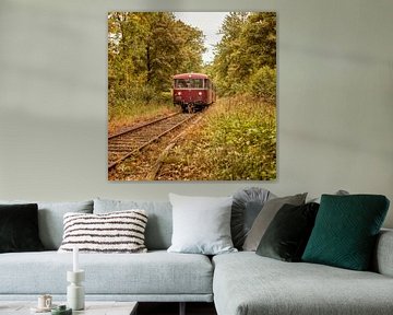 Railbus ZLSM tussen prachtige herfstkleuren