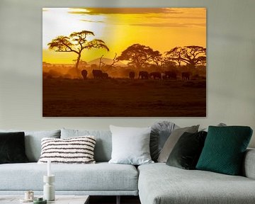 Afrika von Rene Verschuren