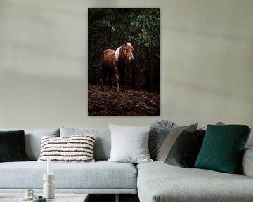 Pferd in einer wilden Waldlandschaft