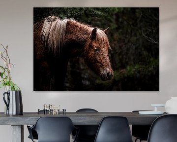 Paard in de Stilte van het Woud van Femke Ketelaar