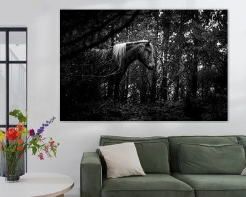 Cheval tranquille dans une forêt mystérieuse en noir et blanc