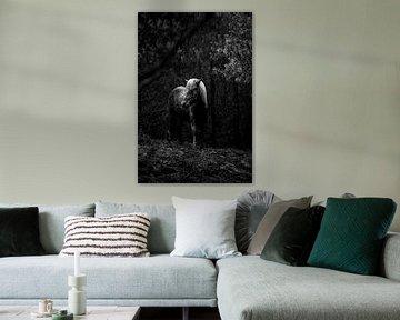 Paard in de Duisternis van het Woud in Zwart-Wit van Femke Ketelaar
