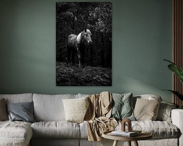 Cheval au crépuscule de la forêt en noir et blanc