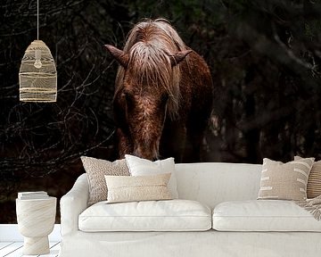 Horse Walking through the Shady Forest by Femke Ketelaar