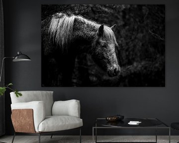 Paard in Contemplatie in een Donker Bos in Zwart-Wit van Femke Ketelaar