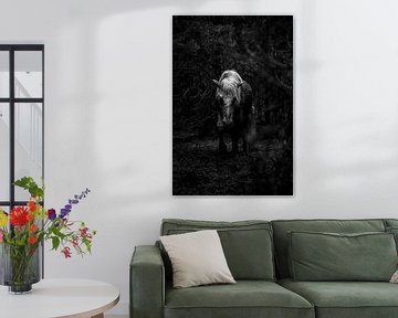 Paard in de Schaduw van het Woud in Zwart-Wit van Femke Ketelaar