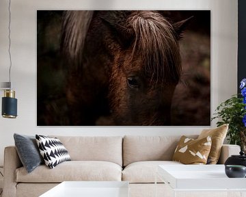 Paard in een Intiem Moment van Reflectie