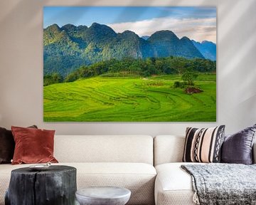 Les magnifiques rizières de Pu Luong, au Vietnam sur Antwan Janssen