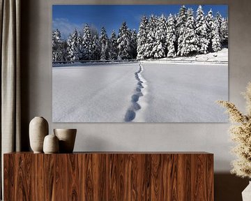 Footprints in the snow by Claude Laprise