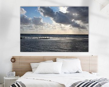 Sandbank mit Möwen bei Rantum bei Sylt
