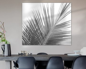 Minimalistische Palmenblätter in Schwarz und Weiß