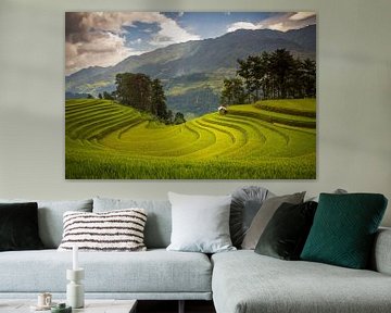 The breathtaking rice fields of Mu Cang Chai, Vietnam by Antwan Janssen