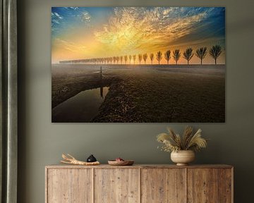 Vue sur le Beemster au lever du soleil