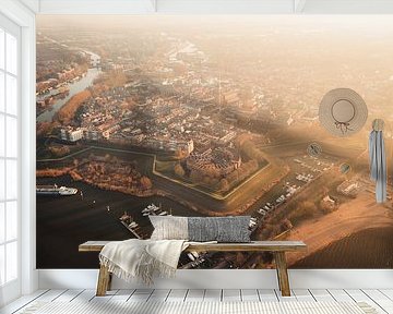 Gorinchem vanuit de lucht