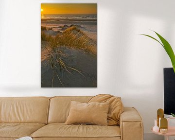 Tallgrass in the dunes at sunset by peterheinspictures