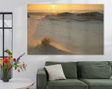 Dune in evening light by peterheinspictures