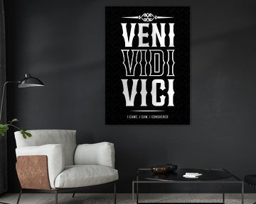VENI VIDI VICI - Ik kwam, ik zag en ik overwon