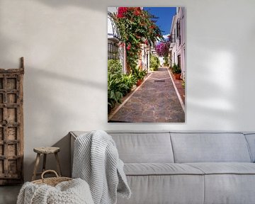 steegje in Marbella van Voss fotografie