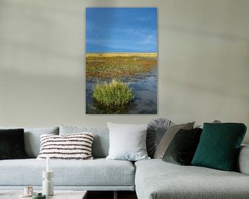 Kweldergras of Spartina anglica in het intergetijdengebied, Waddenzee van Peter Eckert