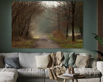Märchenhafte Waldlandschaft mit Sonnenharfen - Sonniger Frühlingsmorgen im Dale Forest von Karin van Es