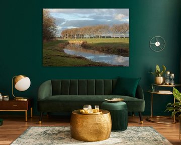 Landschaft mit mäanderndem Wasser und Spiegelungen - Polderlandschaft von Karin van Es