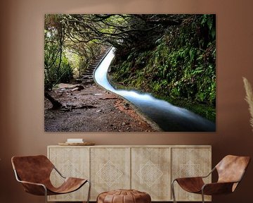 Chute d'eau à Madère sur Esmée Fotografeert