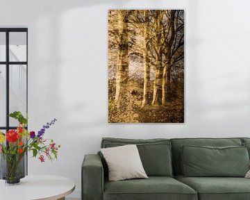 Een boom in lagen van Mark Scheper