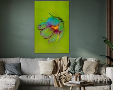 Verträumtes Foto einer Blume