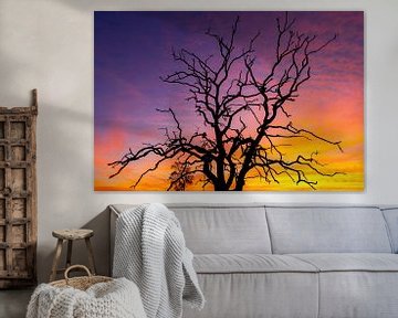 Zonsondergang op de Veluwe van Martijn Schruijer
