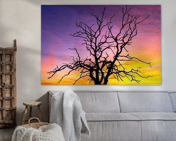 Sunset on the Veluwe by Martijn Schruijer