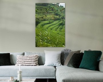 Groen rijstveld in de heuvels van Tirta Gangga, Bali Indonesia van Frans Rombout