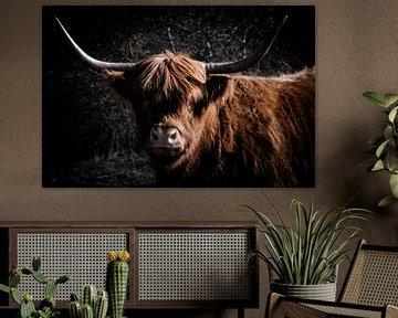 Highlander in den Kennemerland Dünen von Patricia Van Roosmalen