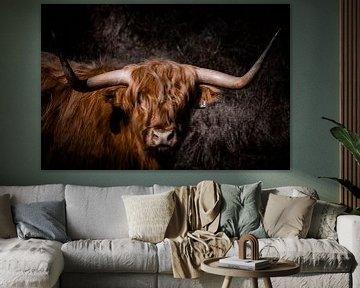 Hooglander in de duinen van Patricia Van Roosmalen