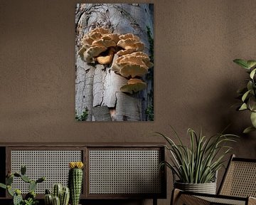 Fomes fomentarius op de bast van een dode boom van Frans Rombout