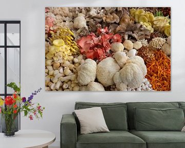 Verse eetbare paddenstoelen in verschillende vormen van Frans Rombout