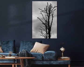 Les branches se reposent