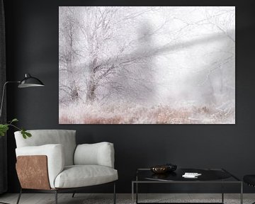 Winter in de Hoge venen van Peter Lambrichs